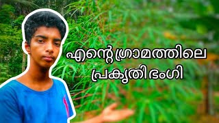 കുറ്റ്യാടിക്ക് അടുത്ത് ഒരു ചെറിയ വിശാലമായ വയൽ | Malayalam | Mirshad Explore