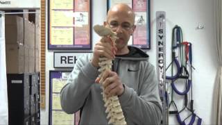 Quick Relief of Neck Pain and Pinched Nerve (Over-the-Door Traction) - Dr Mandell