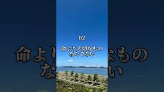 仕事で疲れた人へ🍀心に刺さる言葉5選 #自己啓発 #人生 #言葉の力