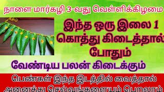 நாளை மார்கழி வெள்ளிக்கிழமை, மாவிலை 1கொத்து கிடைத்தால் போதும்! பெண்கள் இந்த இடத்தில் வைங்க.