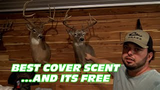 BEST COVER SCENT... and its FREE | 4D OUTDOORS