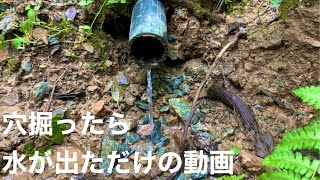 【山の遊び方】湧水？井戸水？何水？山で穴を掘る