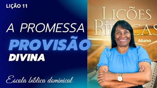 LIÇÃO 11 - A PROMESSA DE PROVISÃO DIVINA - 4º Trimestre de 2024 #ebd #escolabiblicadominical #fe