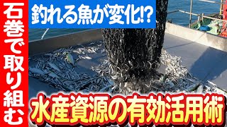 【新たな水産資源】水産技術総合センターが新しい魚種加工法を開発 日本財団 海と日本PROJECT in みやぎ 2023 #016