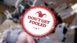 Don't Get Fooled: Shredding Companies