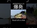 バス釣り 大江川バス釣り