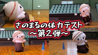 【挑戦】さのまるの体力テスト〜第2弾〜