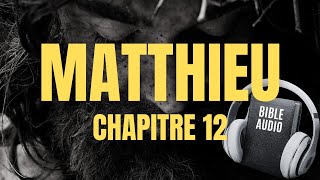 MATTHIEU 12 | LA BIBLE AUDIO avec textes