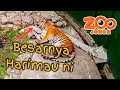 [VLOG] ZOO JOHOR DAH UPGRADE!!!