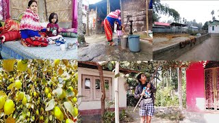 কুয়াসা ভরা সকাল | কাকিদের গাছের কুল|@tanishkaaryavlogs  | Bengali Lifestyle Vlog | Ber Fruit