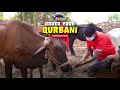 Your Qurbani, given with sincerity!