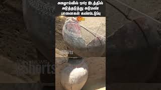 Discovery Of Successive Flint Pots At The Same Site | Underground Excavations| Sivagangai | Sun News