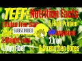 superfoods teff health benefits of teff grain youtube