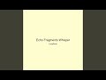 Echo Fragments Whisper