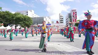 [4K] ｏｂｒｉｇａｄｏ花山海　よさこい鳴子踊り特別演舞 2022 2日目　中央公園競演場