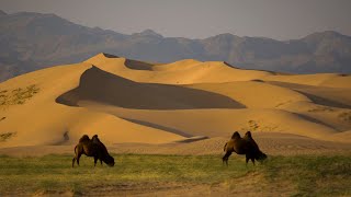 Алтайская Гоби