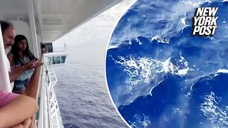 Search halted for cruise passenger who fell off ship in Caribbean