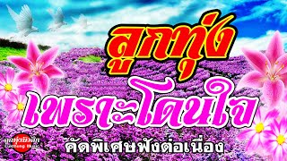 ลูกทุ่งเพราะโดนใจ[คัดพิเศษ]ฟังต่อเนื่อง