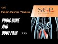 Pubic Bone And Body Pain
