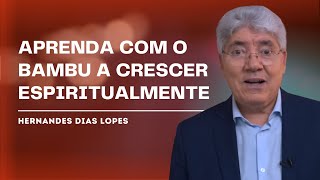 COMO A PARÁBOLA DO BAMBU TRANSFORMA SUA VIDA ESPIRITUAL - HERNANDES DIAS LOPES