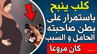 لم يتوقف هذا الكلب عن النباح على بطن صاحبته الحامل بعد أيام يتم اكتشاف السبب الرهيب