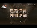 【徐静雨】整治，智力，经济，武力，魅力，詹姆斯分别多少分？