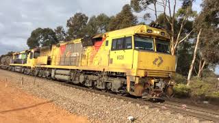 Aurizon 7MP1 6028 6011 pass Edinburgh SA