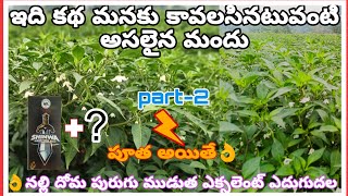 part-2 #నల్లి #దోమ #పురుగు #ముడుత #పూత 9618783464 #కాపు #shinwa #vishwa3g #chilli