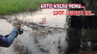 #BEBURU IKAN GABUS SAAT AIR MULAI BANJIR #