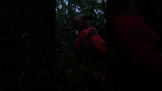 Berpetualang menikmati indah nya hutan rimbah dan mencari umbut manau(rotan) #salampenjelajah 🫡