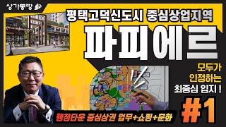 평택고덕신도시 상권분석#1_ 상권이 가장 활성화 될 '중심상업지역' 알아보기 (With최원철교수)