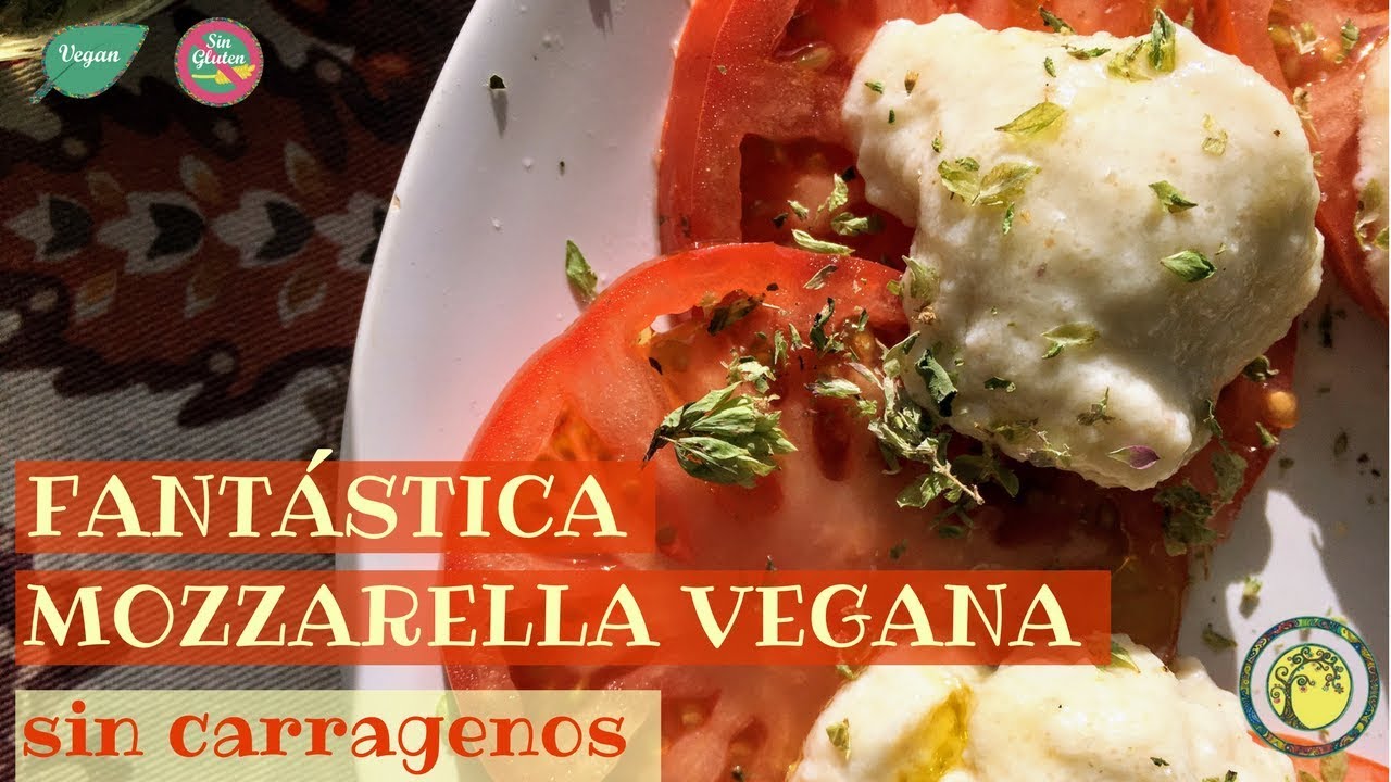 Mozzarella Vegana Youtube