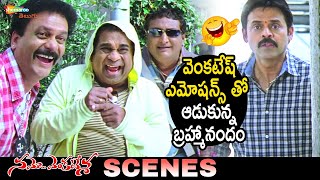 Brahmanandam Fools Venkatesh | Namo Venkatesa Telugu Full Movie | Trisha | Brahmanandam | Ali