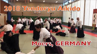 【海外指導】Moers, GERMANY / 2018 Tendoryu Aikido Dojocho Kenta Shimizu