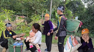 Thanh went to cast a net to catch fish in the lake, the old lady was sad, Thanh took her home