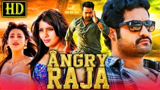 Angry Raja (HD) Romantic Hindi Dubbed Movie | Jr. NTR, Samantha, Shruti Haasan