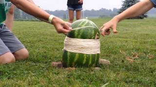 Watermelon+400 rubber bands