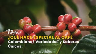 ¿Qué Hace Especial al Café Colombiano? Variedades y Sabores Únicos - TvAgro por Juan Gonzalo Angel