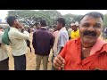 ranebennur sheep and goats market live update 💥 every sunday morning bazar karnataka india