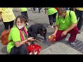 黑面蓮花三太子以香灰抹臉 黑虎將軍女乩 王母娘娘 關聖帝君 起乩降駕～新營太子宮進香團（林口欽聖宮）