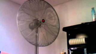 Dayton Industrial Pedestal Fan