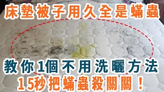 床墊、被子用久了全是蟎蟲！教你一個土方法，不用洗、不用曬，15秒把蟎蟲殺關關！再也不會身體發癢，簡單又實用【養生1+1】