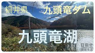 天気が良くて、紅葉を観に九頭竜湖