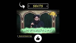 Sects in Islam | #shorts By Engineer Muhammad Ali Mirza