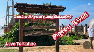 Pigeon Island Mathara।මාතර පරවි දූපත දැකලා තියෙනවද?