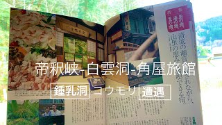 鍾乳洞にコウモリがいた！帝釈峡 白雲洞 角屋旅館に行きました