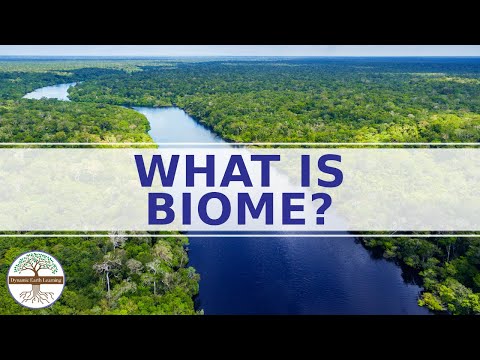 What are the 4 characteristics of a biome?