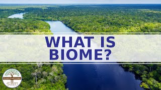 WHAT IS A BIOME?  - Enviromental Science  - CATEGORIES OF BIOMES