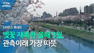 벚꽃 재촉한 올해 3월, 관측이래 가장 따뜻 / YTN 사이언스