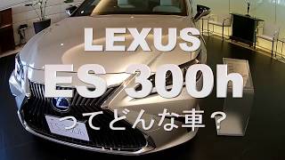 レクサスES300h走りすぎるエクステリア＆インテリアレビューLexus ES 300h